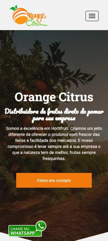 Orange Citrus | Distribuidora de frutas direto do pomar para sua empresa — versão para celular